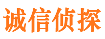 新野私人侦探